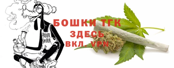 ГАЛЛЮЦИНОГЕННЫЕ ГРИБЫ Балабаново