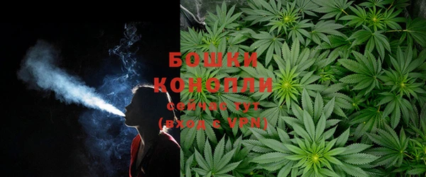 гидра Баксан