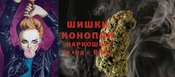 гидра Баксан