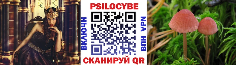закладки  Семикаракорск  Псилоцибиновые грибы прущие грибы 
